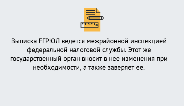 Почему нужно обратиться к нам? Кольчугино Выписка ЕГРЮЛ в Кольчугино ?