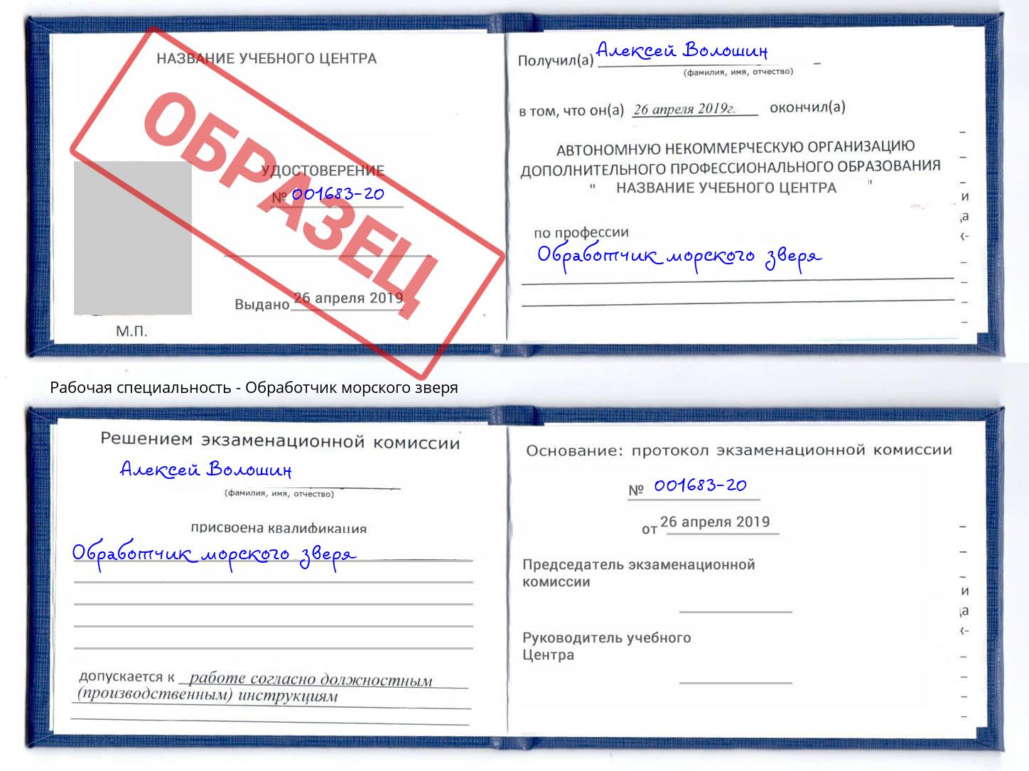 Обработчик морского зверя Кольчугино