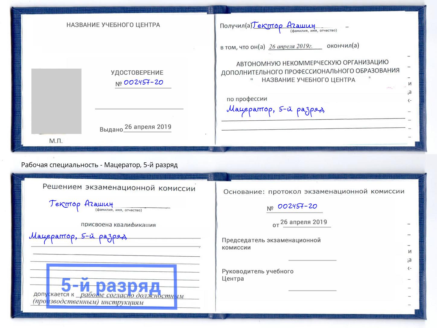 корочка 5-й разряд Мацератор Кольчугино