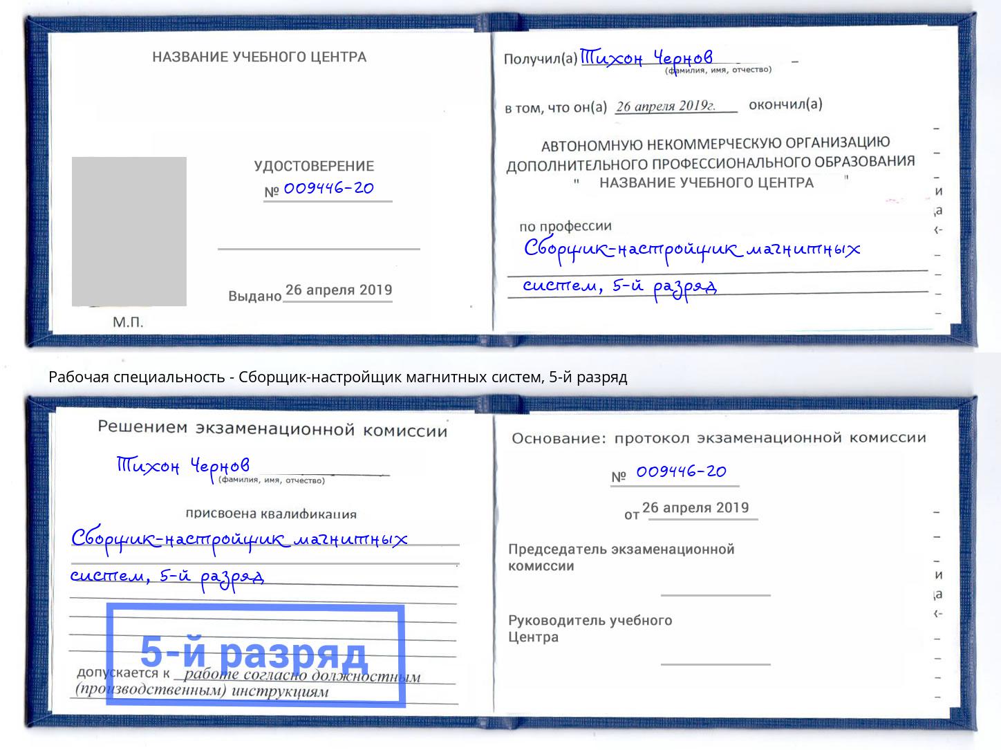 корочка 5-й разряд Сборщик-настройщик магнитных систем Кольчугино